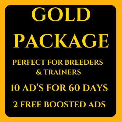 Gold Ad Membership